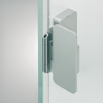 Nalepovací závěs pro skleněné dveře, s pohledovou miskou, úhel otevření 220°, nerez, pro celoskleněné konstrukce