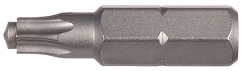 Torx bit, Délka 25 mm, s vodicím čepem
