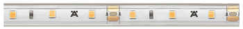 Osvětlovací LED páska se silikonovým pouzdrem, Häfele Loox5 LED 2063, 12 V, jednobarevné, 8 mm